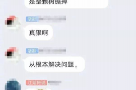 鄄城为什么选择专业追讨公司来处理您的债务纠纷？